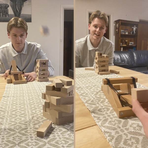 Catapult Conquest - Image 2